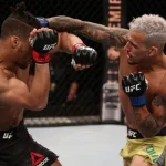 Lutas confirmadas para fevereiro 2026: análises e palpites recomendados